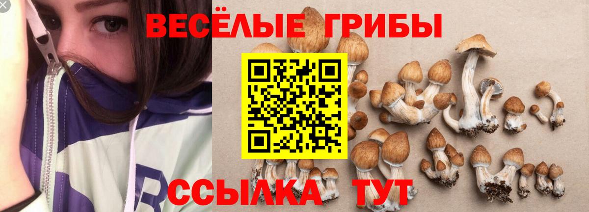 Псилоцибиновые грибы ЛСД  Вход с VPN  Отрадное 